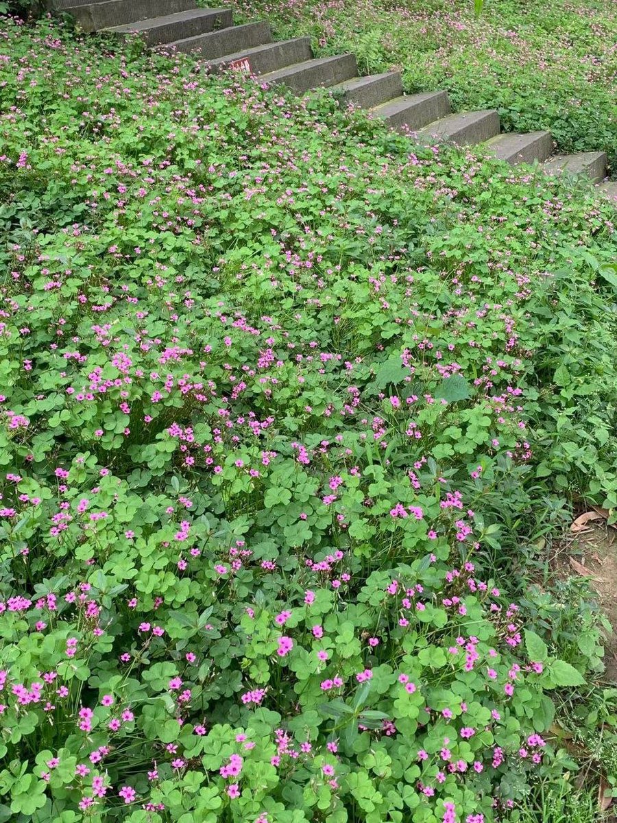 shining you (@denisejeeas) on Twitter photo 