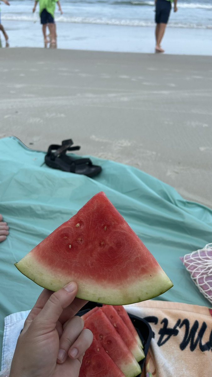 bigevilbug's tweet image. 