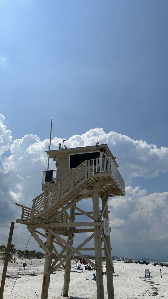 bigevilbug's tweet image. 