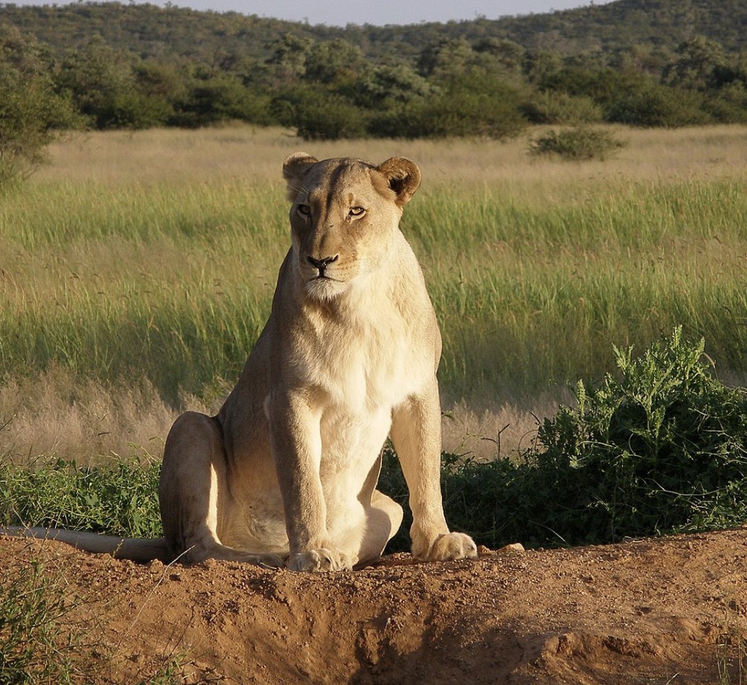 قبل اللي في الصورة كانت 5-3

بعد اللي في الصورة بقت 5-11