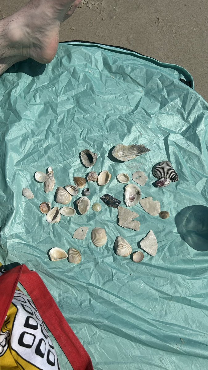 bigevilbug's tweet image. 