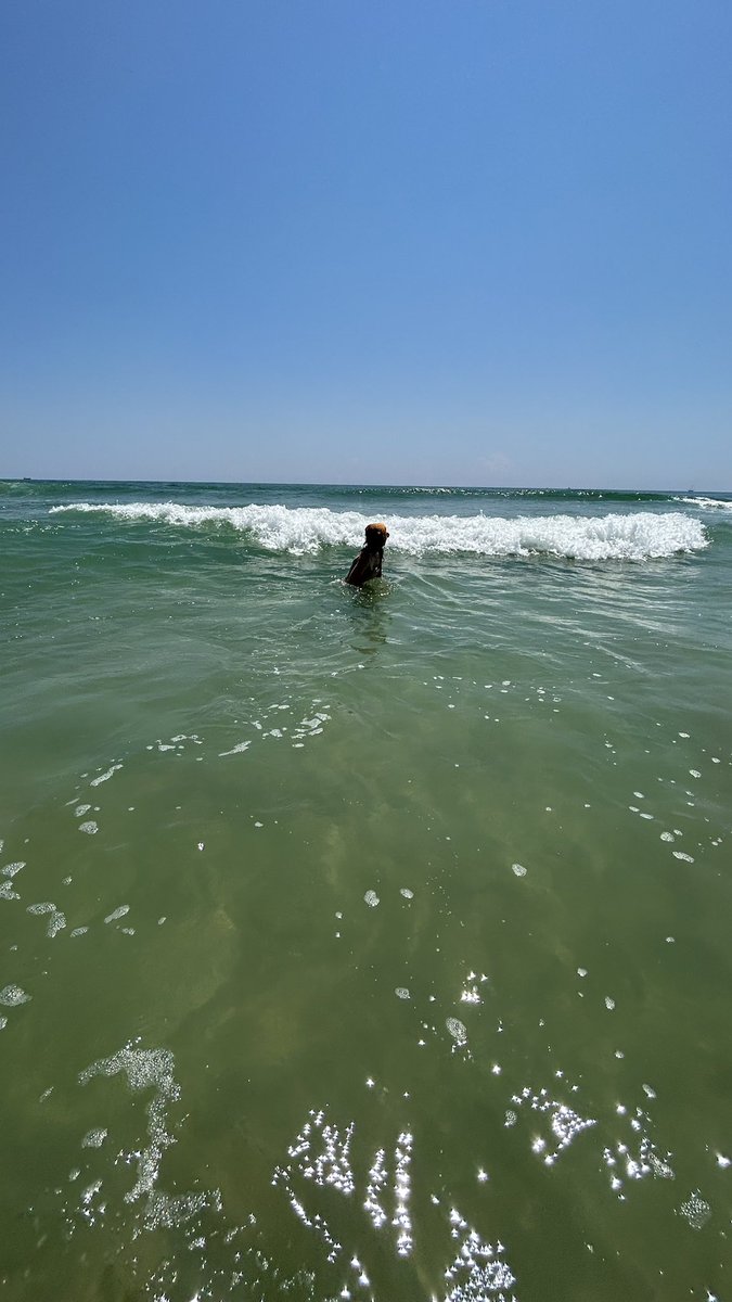 bigevilbug's tweet image. 