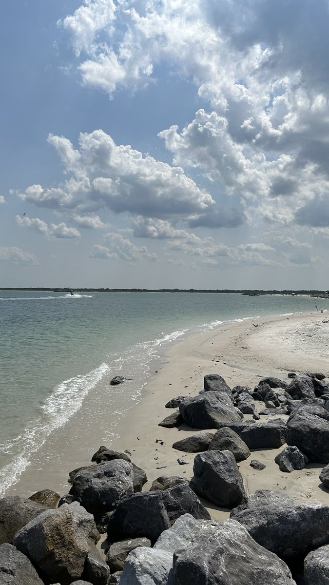 bigevilbug's tweet image. 