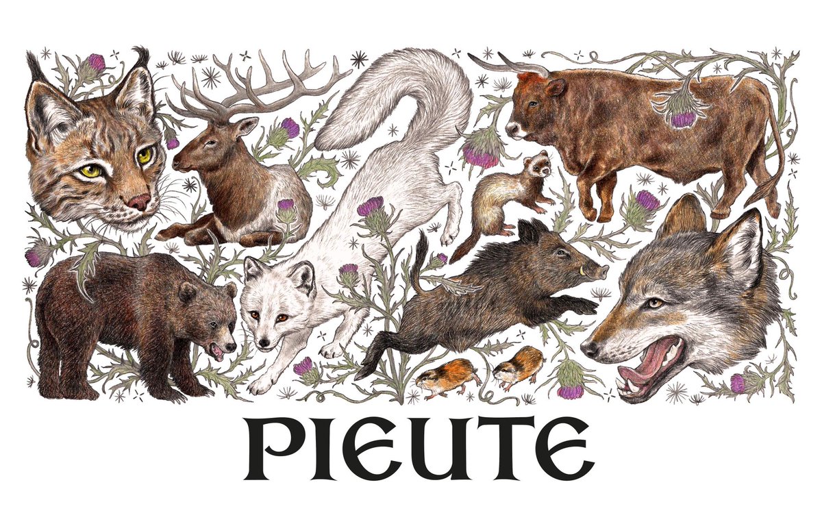 KatePow3ll's tweet image. my design for @pieute featuring extinct mammals of Scotland 🐺🐗🐃 lynx, elk, brown bear, arctic fox, wild boar, lemming, polecat, aurochs, wolf 🤍 

t-shirts &amp;amp; hoodies available on their site 🏴󠁧󠁢󠁳󠁣󠁴󠁿 dead chuffed with this collaboration