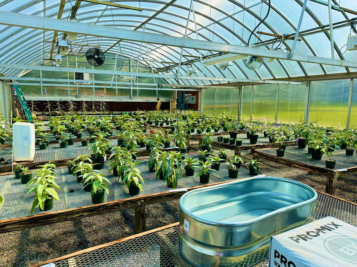 Chris Martine | Plants are Cool, Too! tweet media