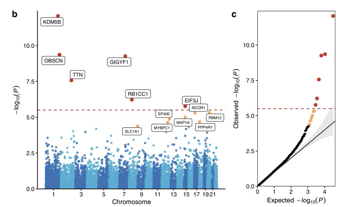 Veera Rajagopal  (@doctorveera) on Twitter photo New ExWAS of hand grip strength in the UK Biobank by Huang et al. <a href="/NatureComms/">Nature Communications</a>
nature.com/articles/s4146… New ExWAS of hand grip strength in the UK Biobank by Huang et al. <a href="/NatureComms/">Nature Communications</a>
nature.com/articles/s4146…