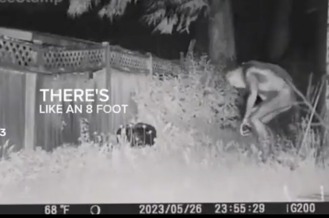 Las Vegas'ta görüldüğü iddia edilen uzaylı görüntülerinin Bilgisayar tabanlı görüntü (CGI) olduğu ortaya çıktı.