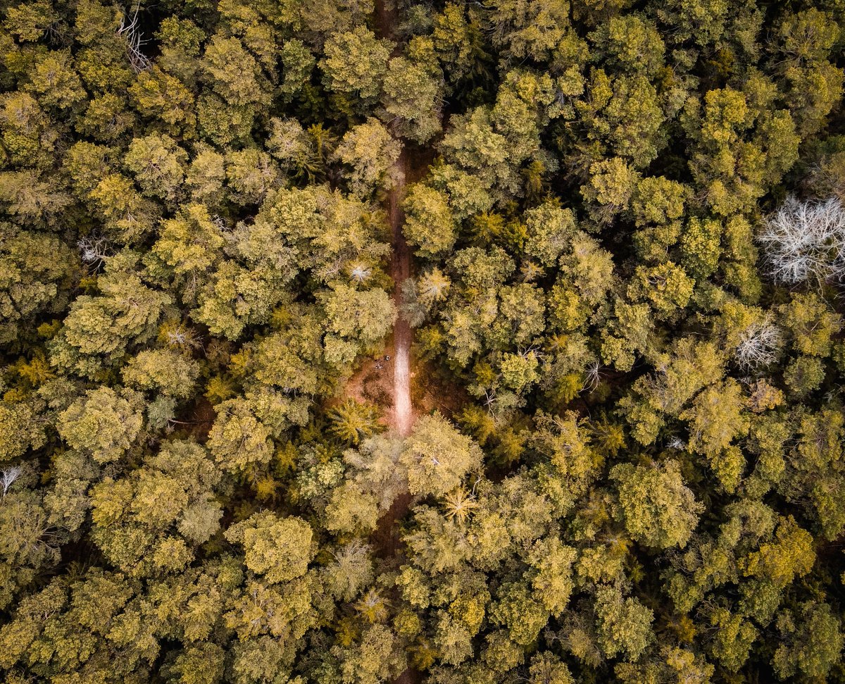 AblyApparel's tweet image. "The only way to do great work is to love what you do." - Steve Jobs

📸  Mathieu Deslauriers via Unsplash

#AblyApparel | #WhateverProof