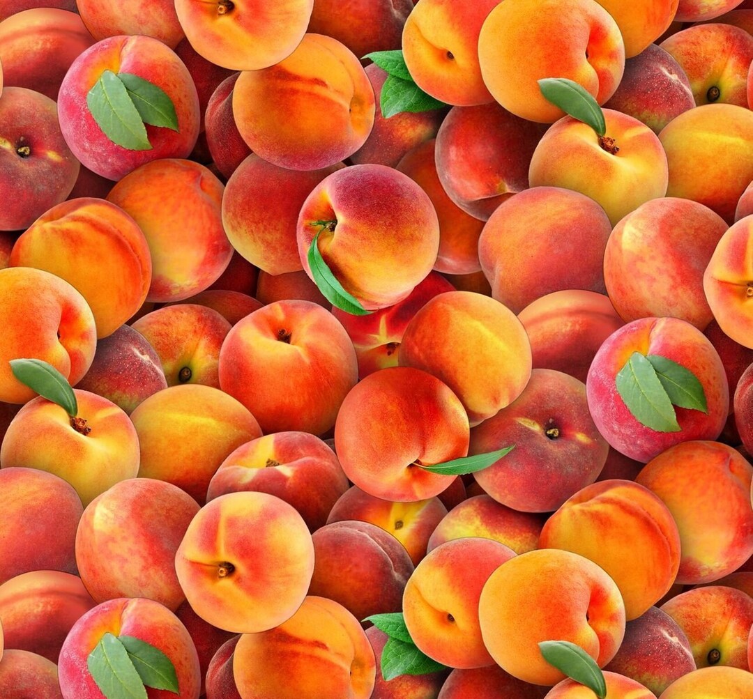 buff.ly/3Bjbo3v Multi Peaches Food Festival 578 Multi Elizabeth's Studio Digitally Printed #peaches #fruit #cottonfabric #sewing #crafts #EtsyStarSeller
