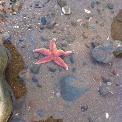 ⭒ ݁ . 𓋼𓍊𓋼 : tweet media