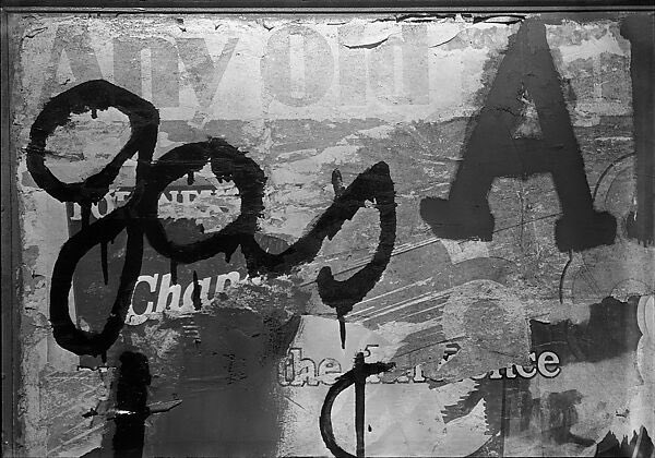 Shane Taylor tweet media