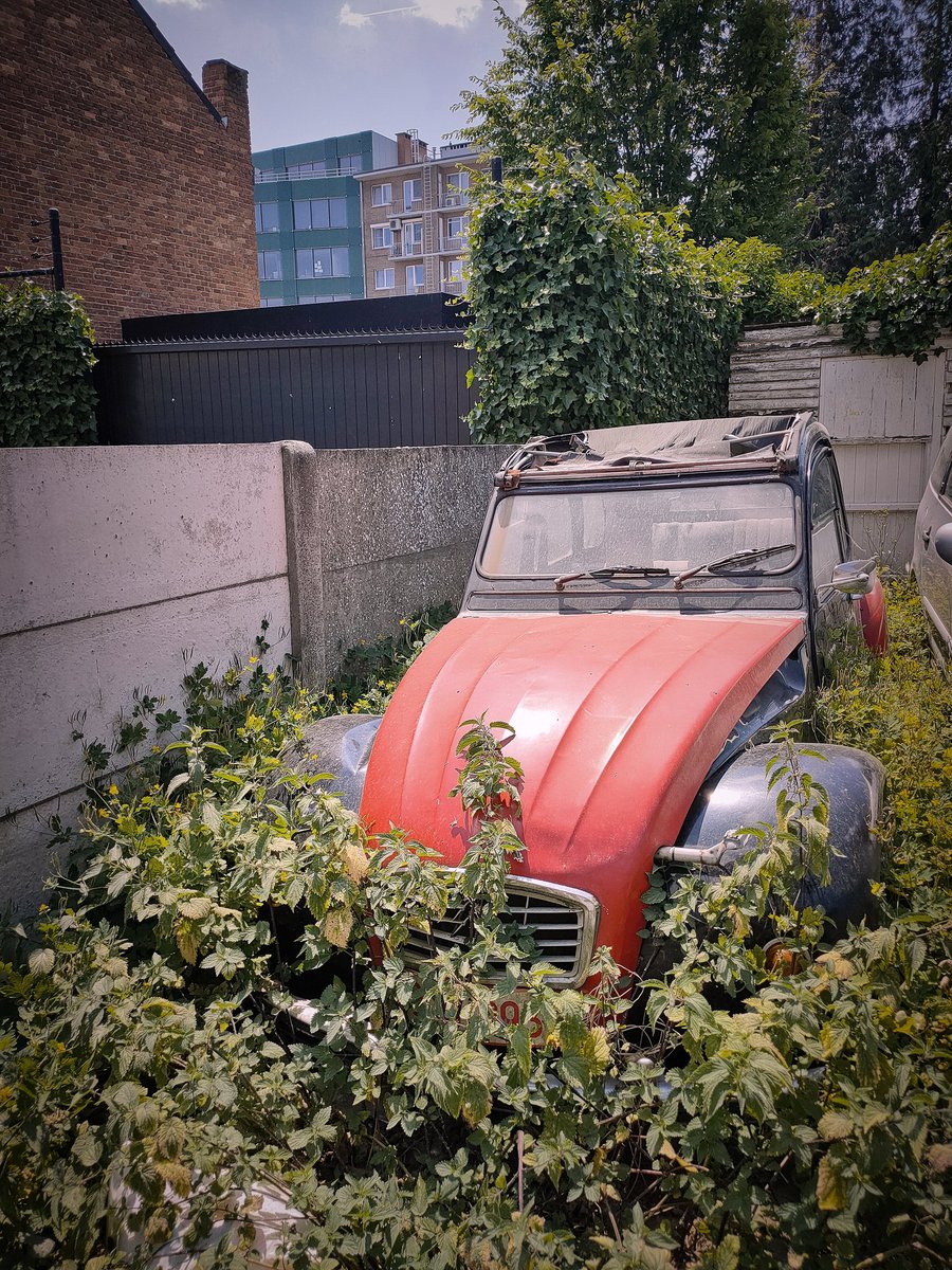 TK teab vintage bloembak