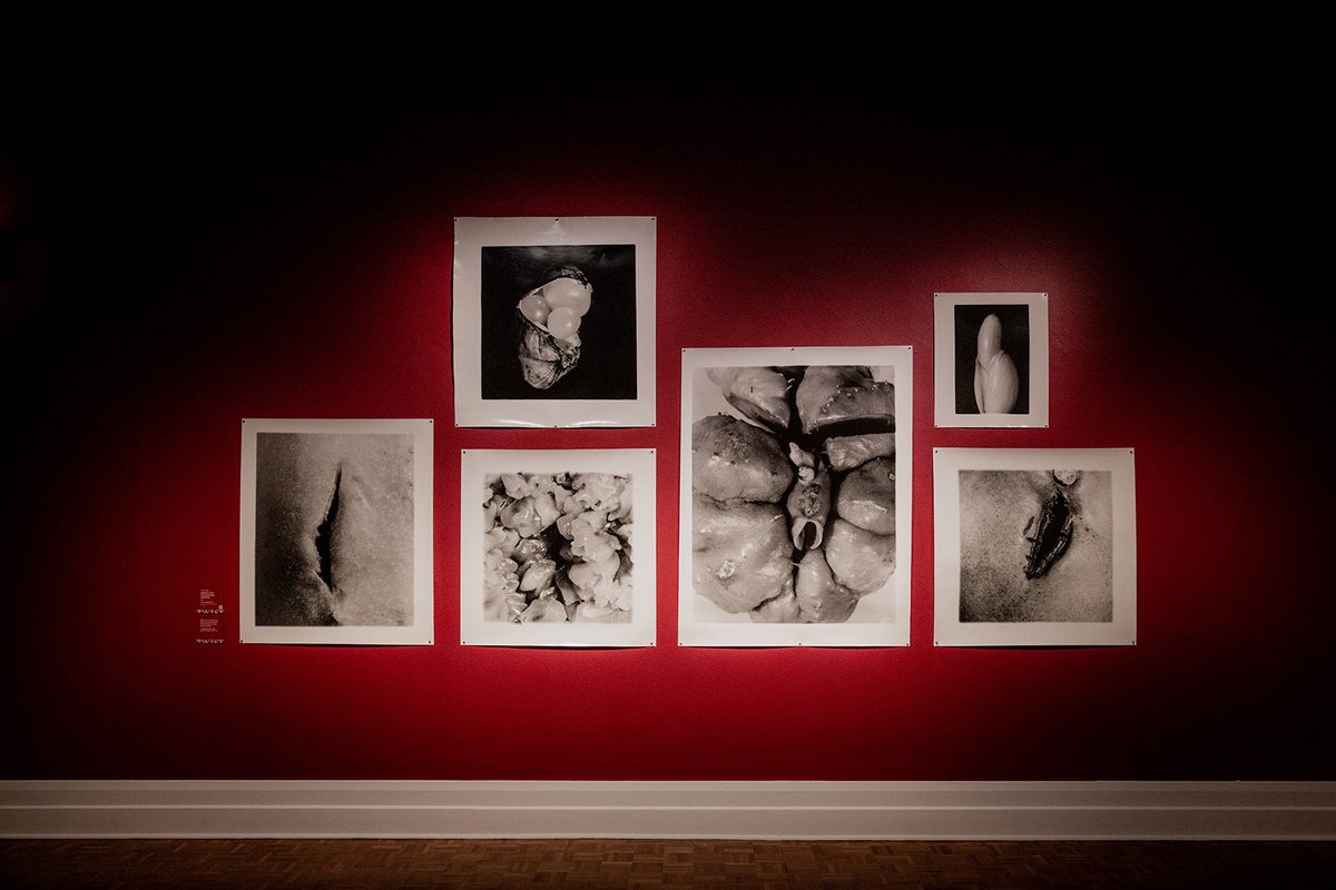 We are open today for the King’s Birthday public holiday, 10:00 am – 4:00 pm.

Come and experience Twist, and see today’s free public talk with artists Ursula Halpin and Yhonnie Scarce, and curator Dr Mary Knights, from 12:00–1:00 pm in Argyle Gallery 2 ✨

📸: Rosie Hastie