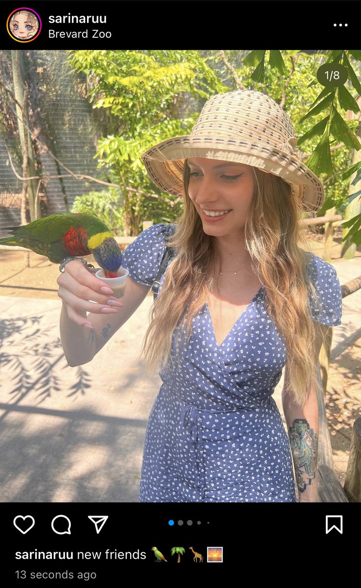 Sarina Desiree on Twitter: "new posts on my instagram @sarinaruu :)) 🦜🌼"