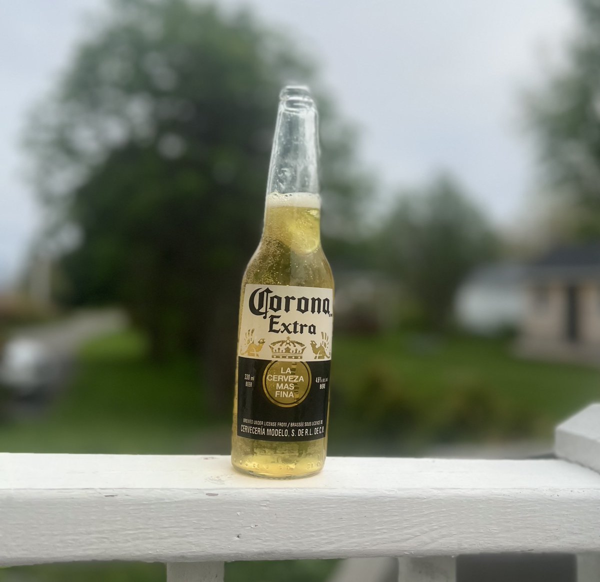 Unos pelean la corona y otros preferimos bebernos la corona <a href="/Corona_MX/">Corona MX</a>