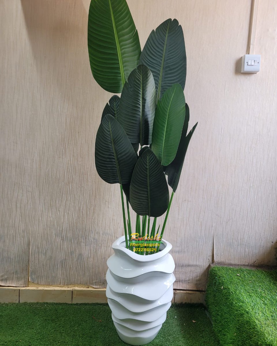 Rodishifibrepot's tweet photo. For away person's and need a taste of green. This beautiful #artificialplant
📞 0722116524 0r visit us at Ridgeways or at our Lavington shop
#fibreplanters #artificialflower #fibrepots #modernplanters #modernpots #uniquepots #homedecor #indoorpots #corporate #officepots #flowers https://t.co/zyPRbQAtga