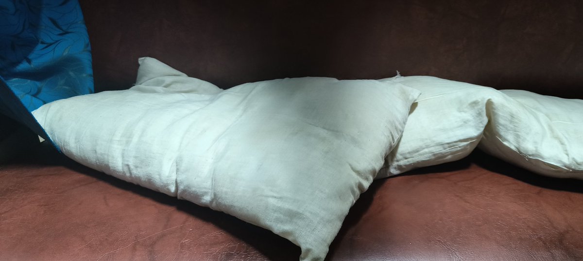 ragarwallacpc's tweet photo. @RailMinIndia @RailwaySeva one of most dirty pillows one can find on train 15603 to dimapur https://t.co/8nRV9xRnMj