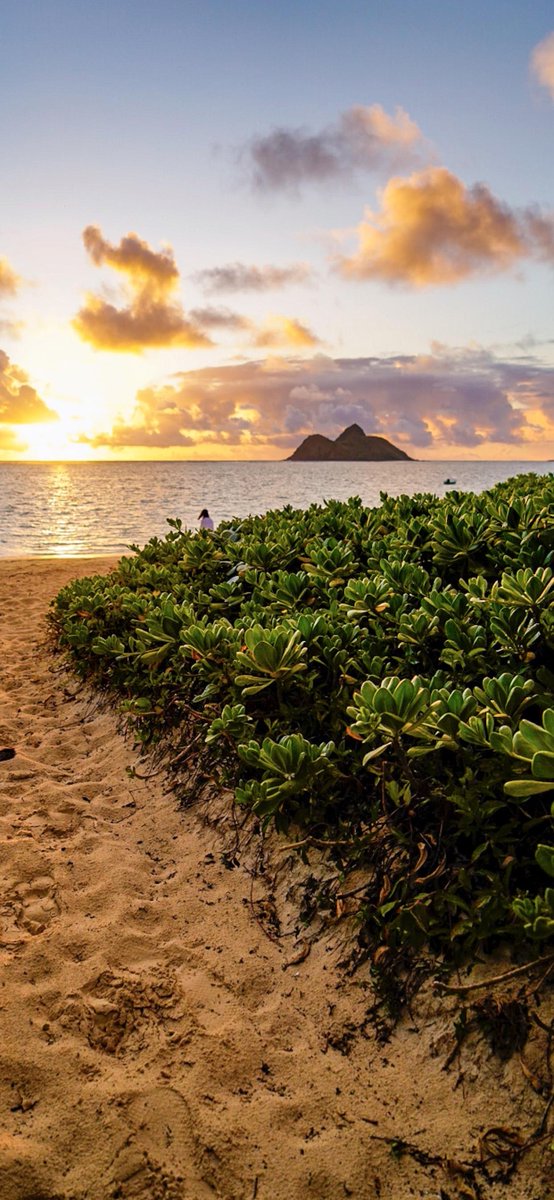 Life is a journey, one that is much better traveled with a companion by our side  <a href="/CalvinH12838056/">mastervador.eth</a>  <a href="/WernerHicks8/">solanaapes.eth</a>  <a href="/StevenKitty3/">iranmarket.eth</a>