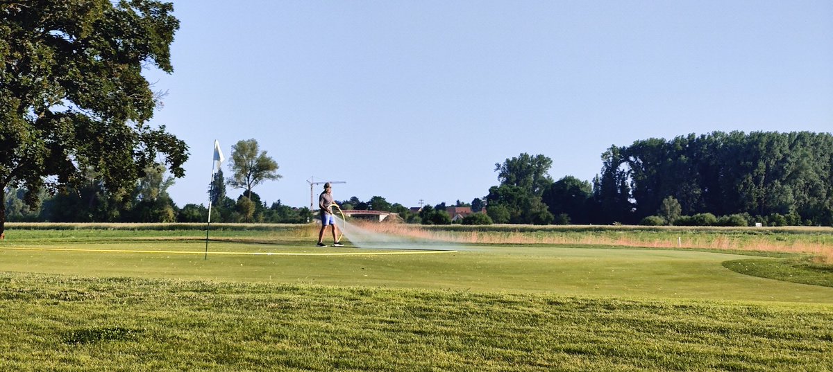 TimOSullivan2's tweet image. Evening set up for the German Legenden Masters Series #turfgrass #agronomy #greenkeeping #hugotheturfdog #fescuebunkers #golfcoursemanagement #golfclubpfalz