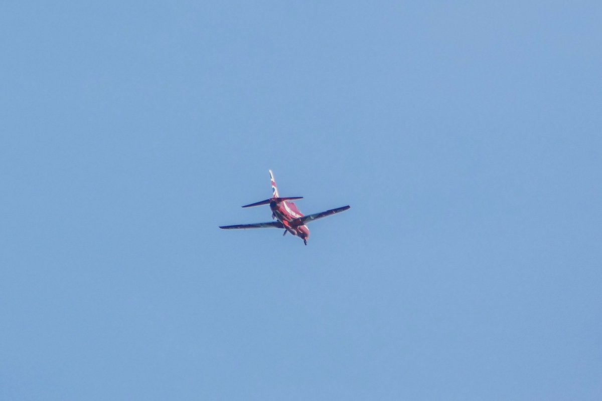 Red arrows just heading home