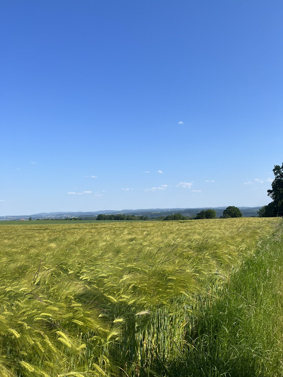 Hach, Ruhrpott. ⚒️🥰