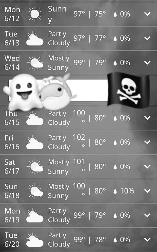 Wednesday kicks off August in Houston. 🧐 #StayCool #DontDie Leave water out for furballs. 💦