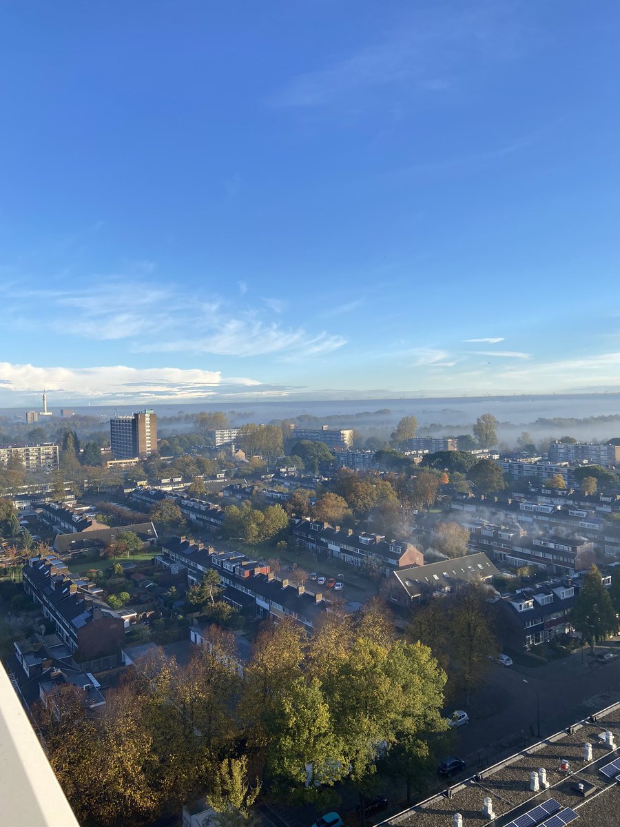 Anneke Been tweet media