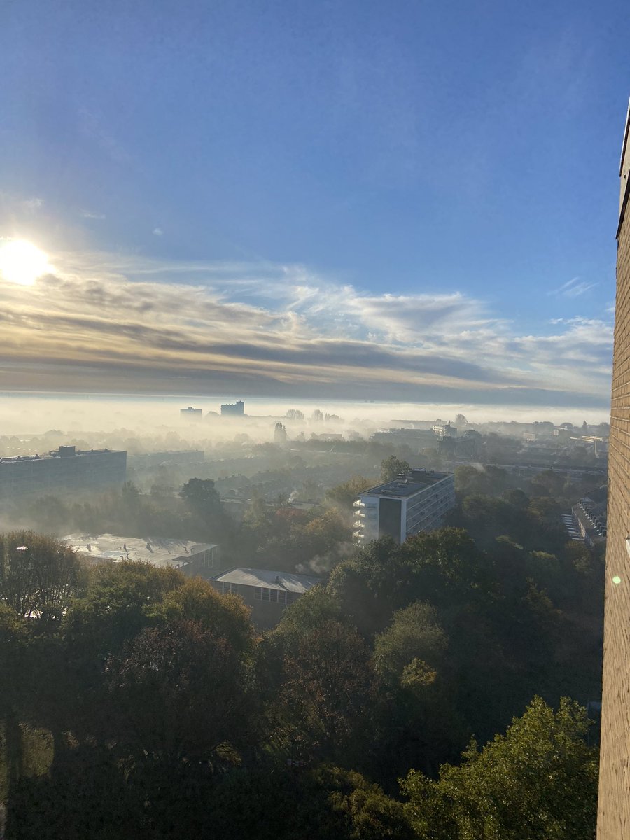 Anneke Been tweet media