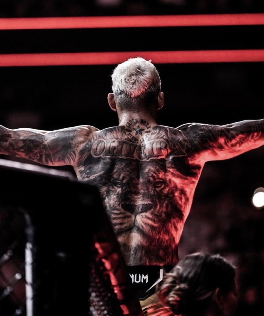 AjDuxche's tweet photo. Oliveira went blonde and started the 🫒era. 
Oliveira now got a lion tattoo, 🫒era 2.0 is underway. https://t.co/IjdpaRICUm