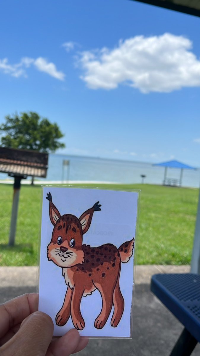 LisaRaymundo3's tweet photo. Lunch outdoors with our traveling Bobcat 🧡🐾💙
#BOBCATSABROAD https://t.co/zuXkB2lSgc