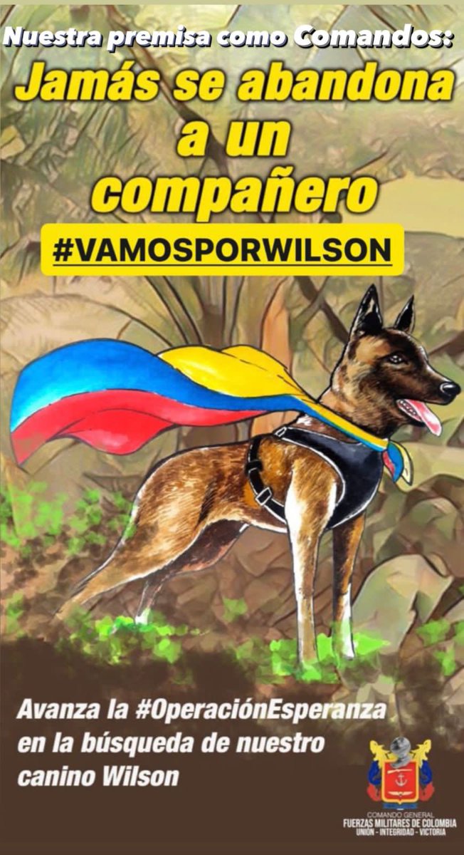 DIANAKAS23's tweet photo. #VamosPorWilson Héroe nacional. https://t.co/3oVp4qvlJC
