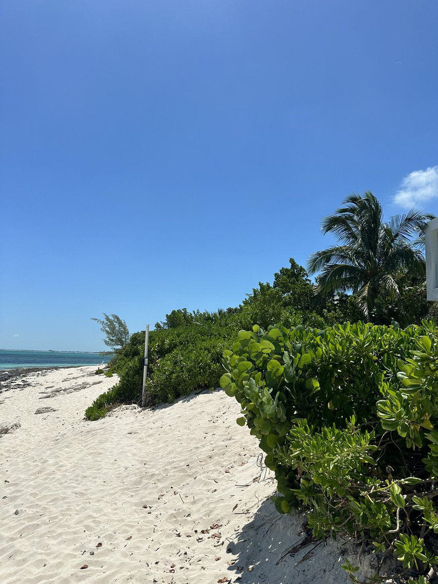 EmceeSLIM's tweet photo. Happy Sunday! 🌴💦 Smith’s Reef
#smithsreef #turksandcaicos #vacation #summer #beach #luxurytravel
https://t.co/fVotFJJUXL
#WeTheNorth ✨@NASA
#Success #Happiness #Faith #Gratitude #Supplements #Fitness #FinancialFreedom #HealthandWellness #Fashion #Entrepreneur #Wealth #Nutrition #USA #MobileApps #Travel #Psychic #RealEstate #GodsPlan #WebDesign #Canada #International #Cars #GenerationalWealth