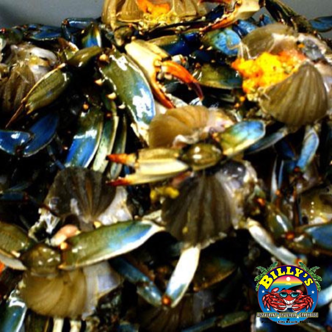 Home of Billy’s famous Blue Crabs! Availability first come first serve. These guys & gals are caught & delivered fresh daily! 💙

-
#billysoysterbar #eatlocaleatoften #freshcatch #pcb #pcbeats #OpenNow #BillysOysterBarAndCrabHouse #PanamaCityBeach #Seafood #dailyspecials #Locals