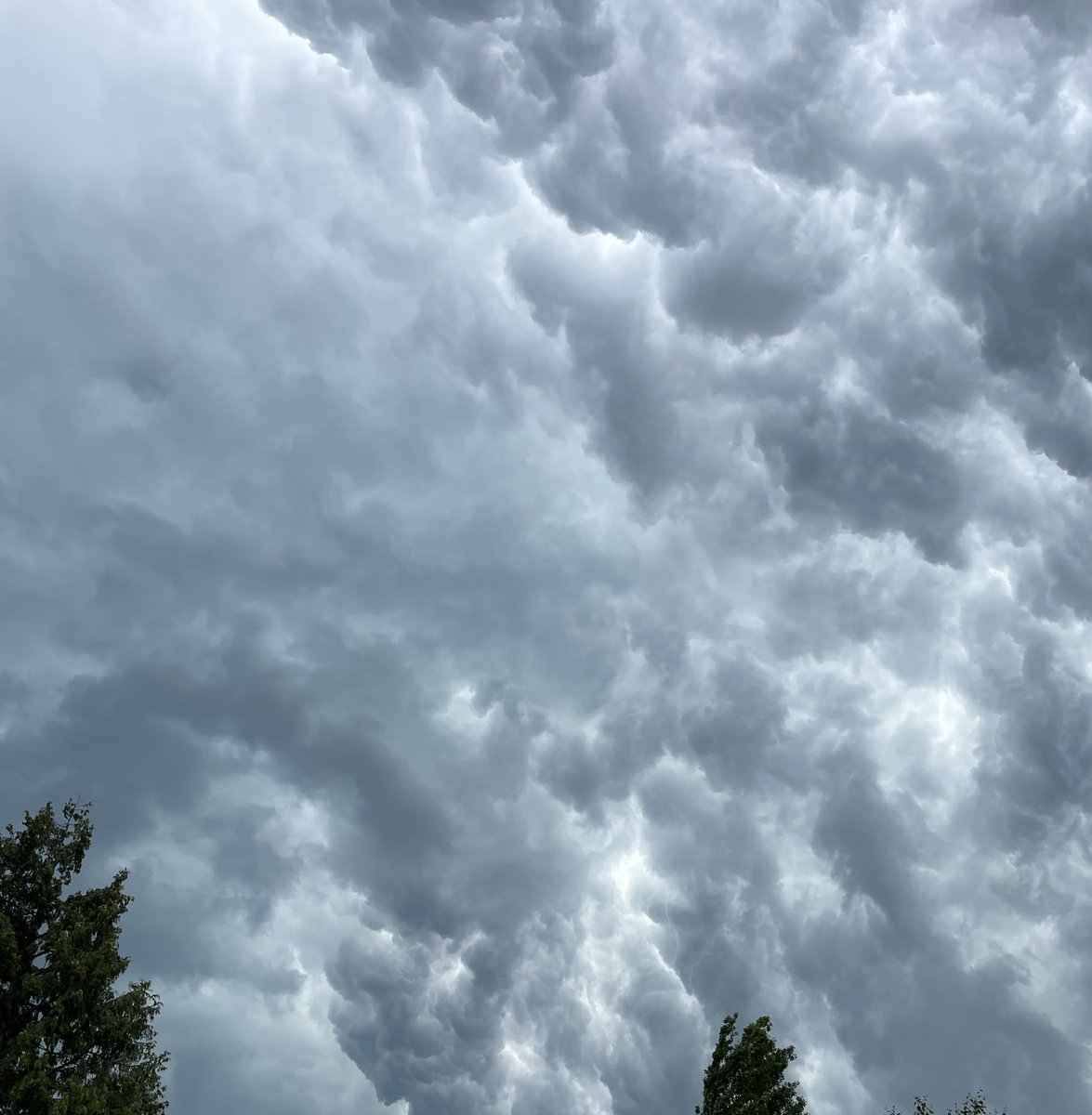 Andrew Foster tweet media