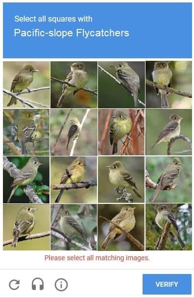 UrsulaV's tweet photo. I don’t know who made this meme, but they were both a birder and a monster. https://t.co/s6P3HoaWaz