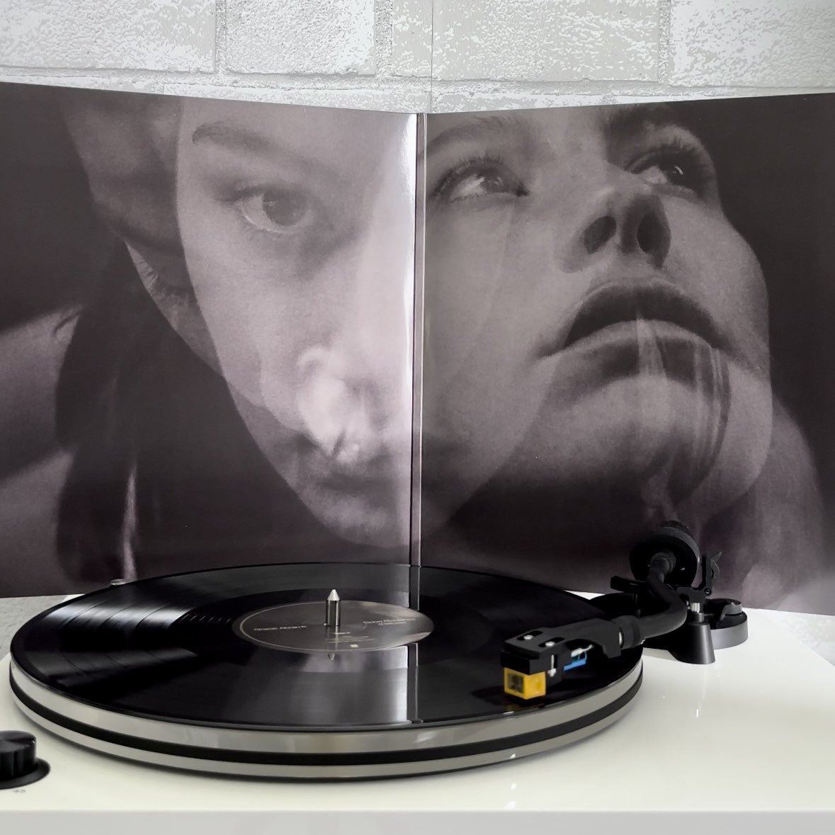 Gracie Abrams Nation on Twitter: 