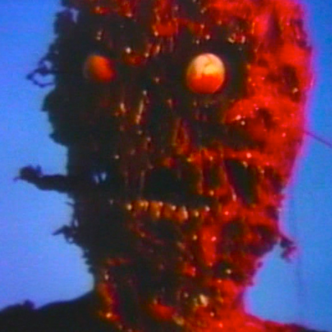 Bleeding Skull tweet media