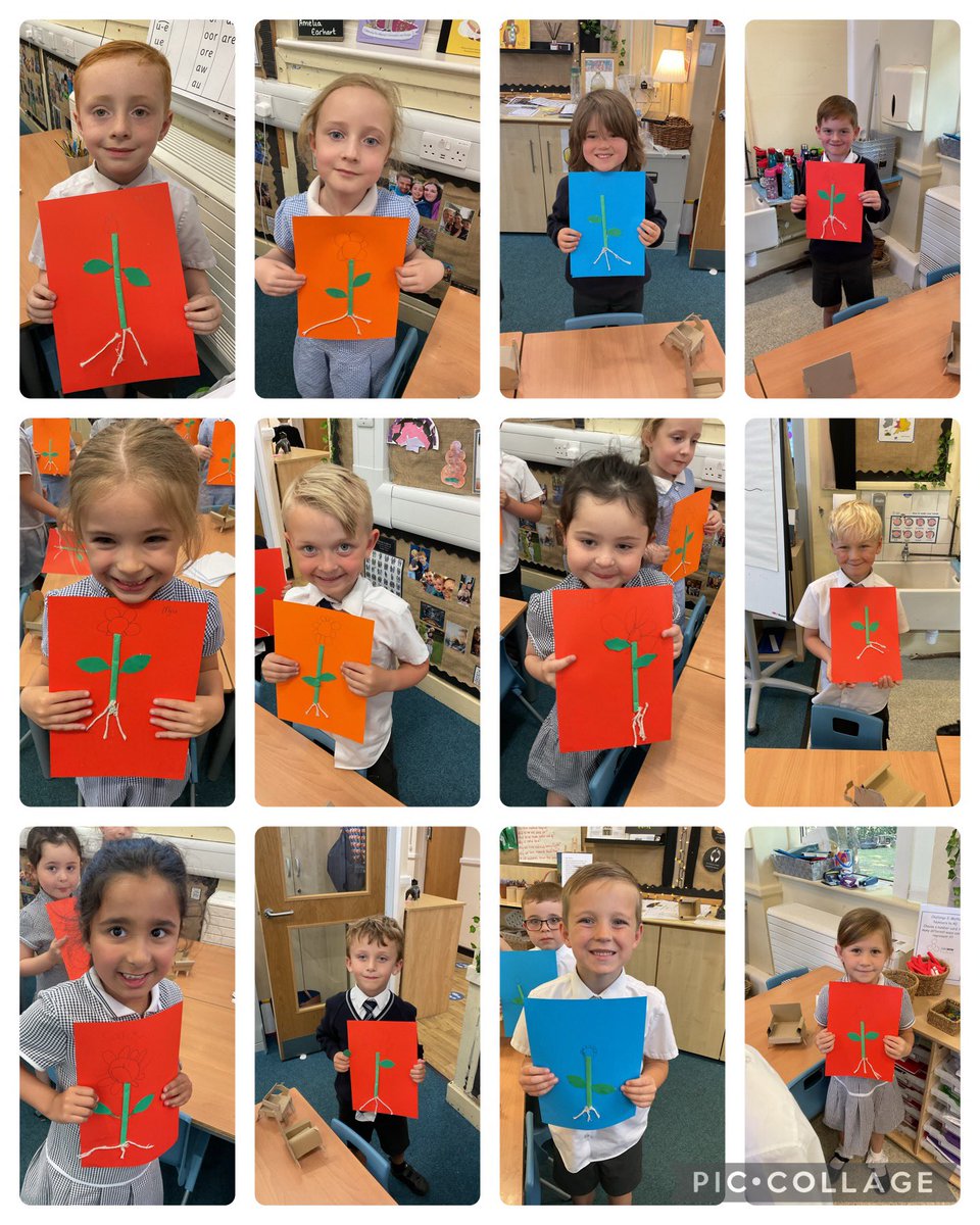 FPS_1_Turtles's tweet image. Learning about parts of a plant in science and the roles of each part. We created our own plant, then labelled a drawn plant. #fpsscience