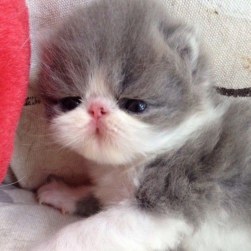 humspoingle's tweet photo. erm... wgat s going on https://t.co/Vn502A4BED