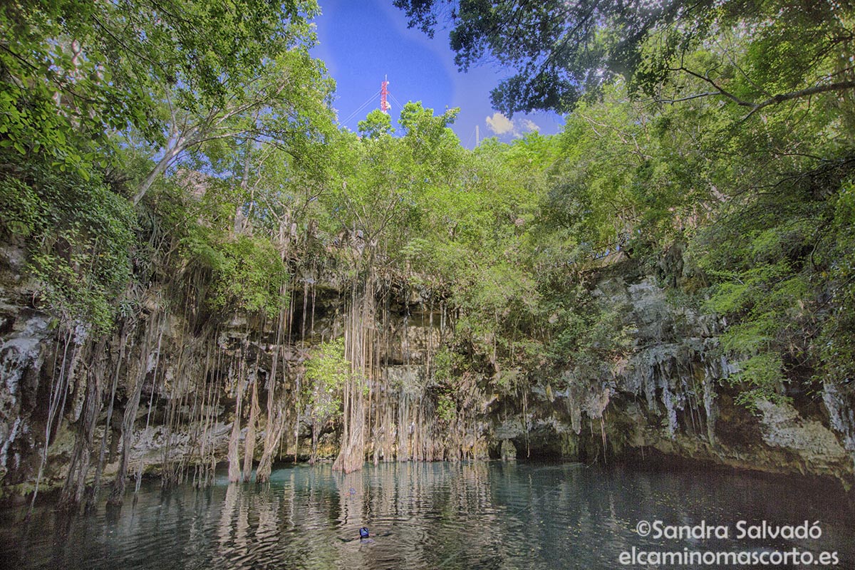 Caminomascorto's tweet photo. Cenote Yokdzonot, Yucatán
👉🏽https://t.co/1jB4ViNYJY
#cenotesyucatan #cenotesmexico #cenotes #cenoteando https://t.co/fijlcienMq