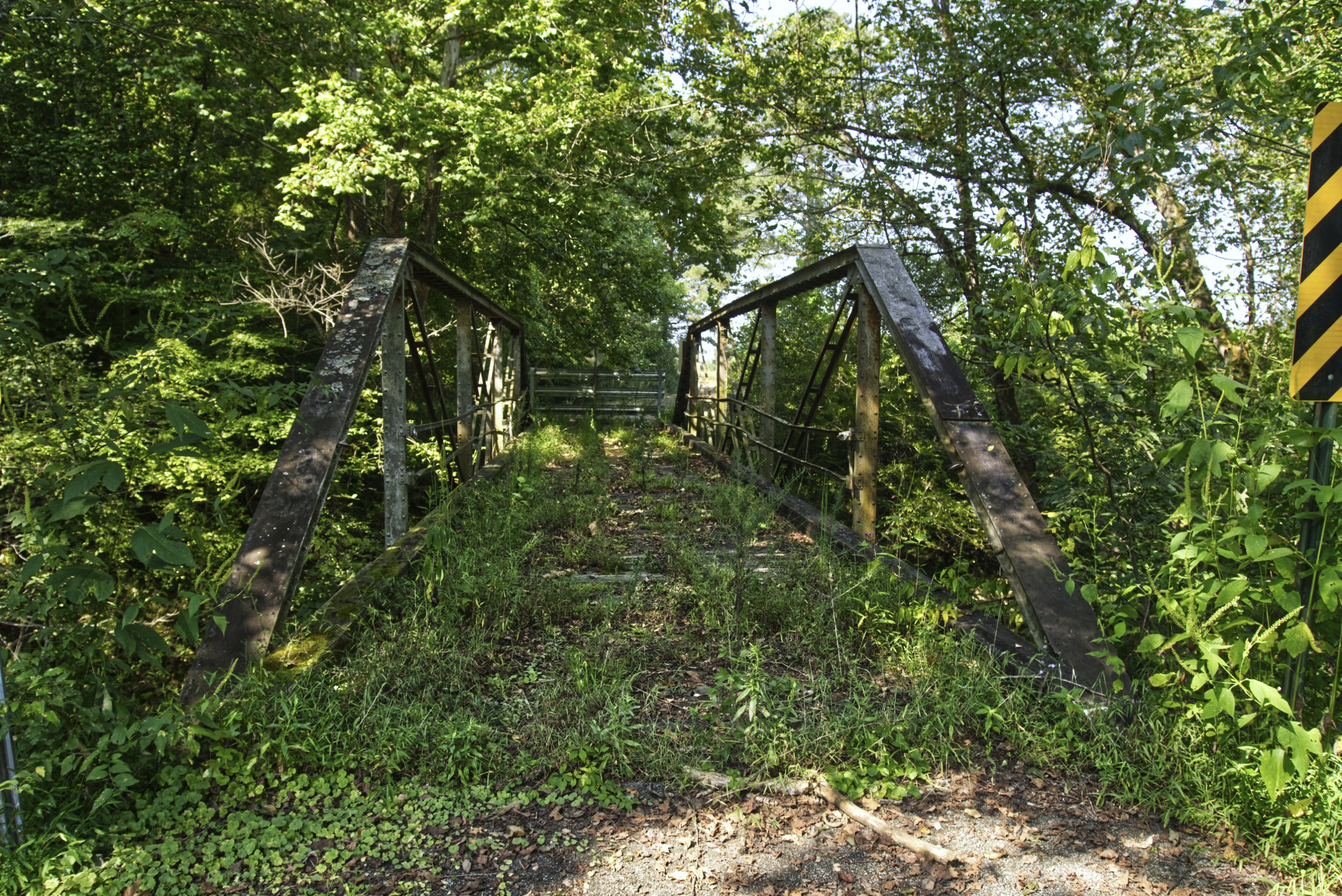 reeden-landshey-rlandshey-twitter