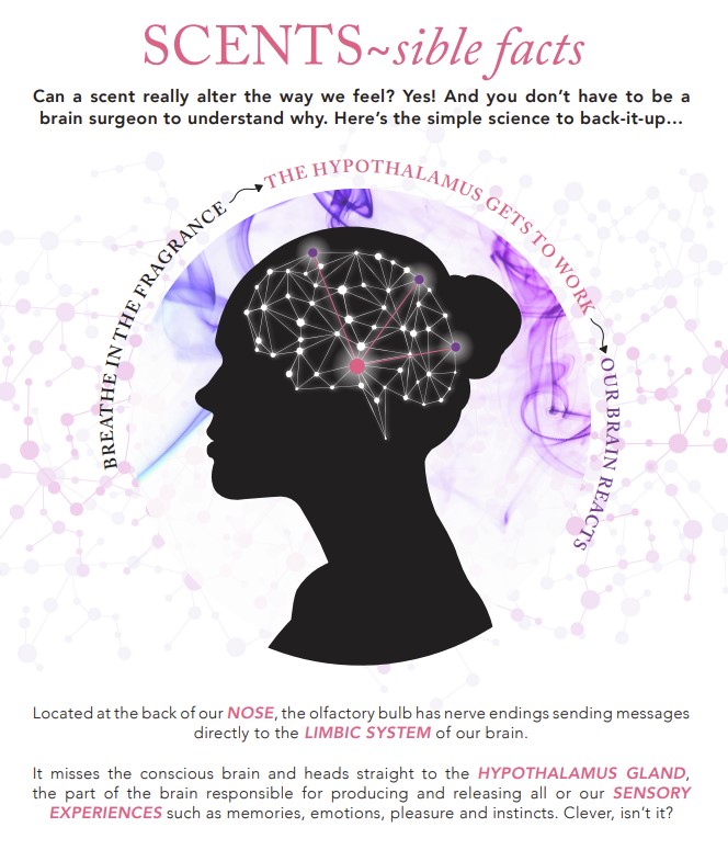 Tisseranduk's tweet photo. ⚡️ SCENTS-sible facts ⚡️
Can scent really alter the way we feel? Yes! And you don't have to be a brain surgeon to understand why. Here is the simple science to back it up... 🧠👃
#aromatherapyawarenessweek #essentialoiltips #essentialoilblends #aromatherapy #essentialoils #ess https://t.co/qj6vcTOpCv
