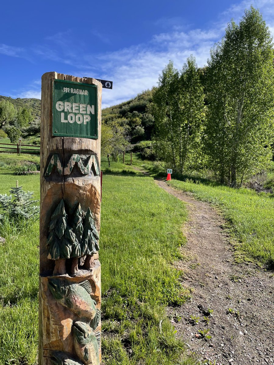 Brandon_Runs's tweet image. Worked four days at 8000 feet elevation. The work was hard, the views were amazing @RagnarRelay #SWAT #greenloop