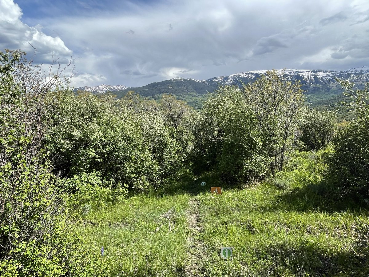 Brandon_Runs's tweet image. Worked four days at 8000 feet elevation. The work was hard, the views were amazing @RagnarRelay #SWAT #greenloop