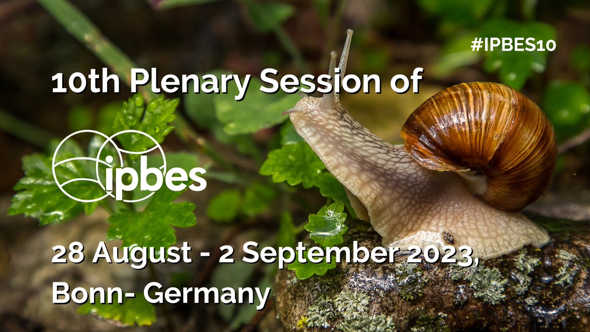 Save the date 📅

10th session of the Plenary of the Intergovernmental Platform on Biodiversity and Ecosystem Services (@IPBES) will take place from 28 August to 2 September 2023 in Bonn 🇩🇪

#IPBES10 will be preceded by regional consultations and a Stakeholder Day on 27 August.