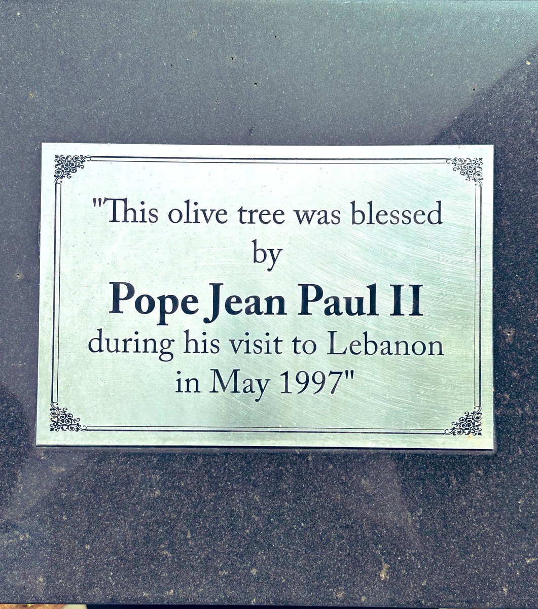 شجرة الزيتون هذه باركها البابا يوحنا بولس الثاني أثناء زيارته إلى لبنان في شهر أيار من العام ١٩٩٧. عندما انفجر المرفأ ودُمّرت مدينتنا، كانت شاهدة على الكارثة ولم تنكسر…. قُتل من قُتل، مات من مات، رحل من رحل لكنها بقيت… شاخت صحيح غير أنّ بركتها تذكّرنا أنّ هذا الوطن بقتامة