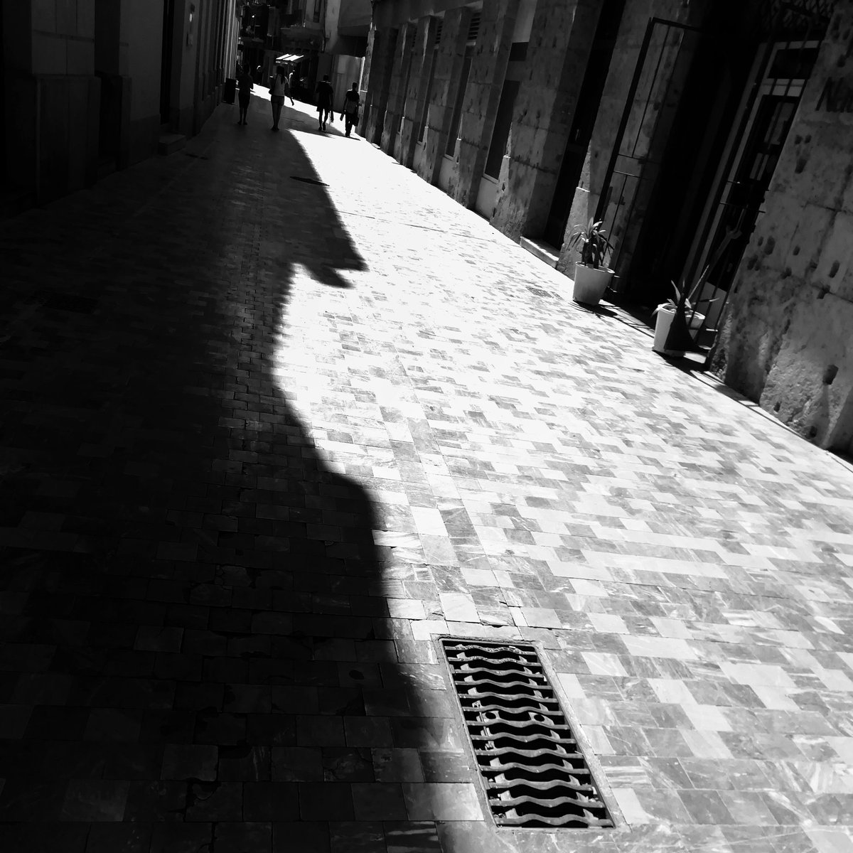 AG_Exposed's tweet photo. As the world turns
#blackandwhitephotography
#digginginthearchives https://t.co/yjNP84gYZ9