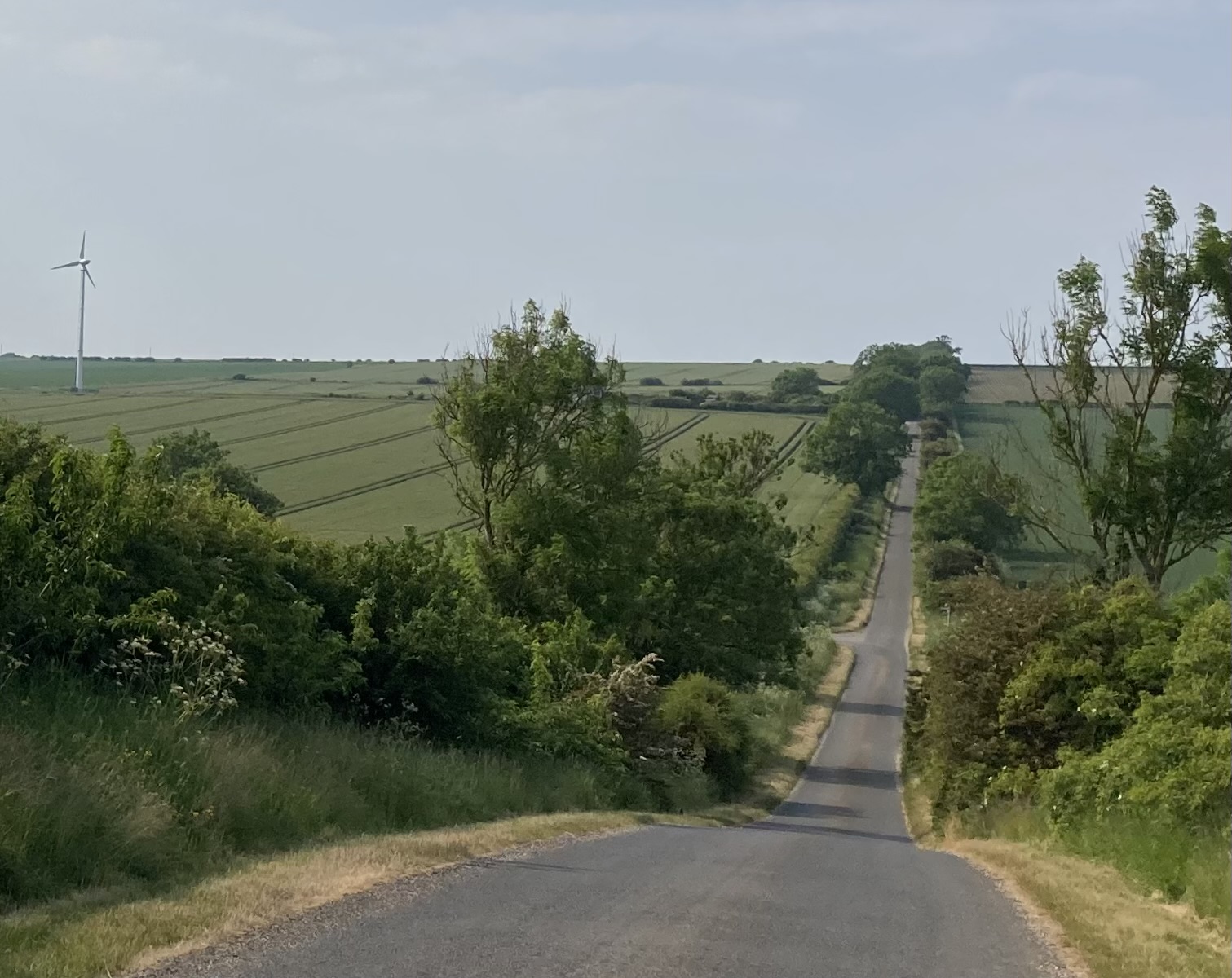 Green Lane, Helperthorpe