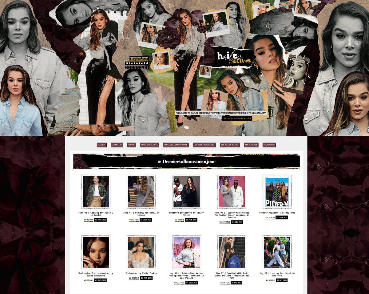 haileepictures's tweet image. Welcome to Hailee Steinfeld Pictures (Hailee-Pictures.com), your newest and biggest Hailee Steinfeld&apos;s photo gallery. #HaileeSteinfeld 

 New design by @bymauuz thank you ♥