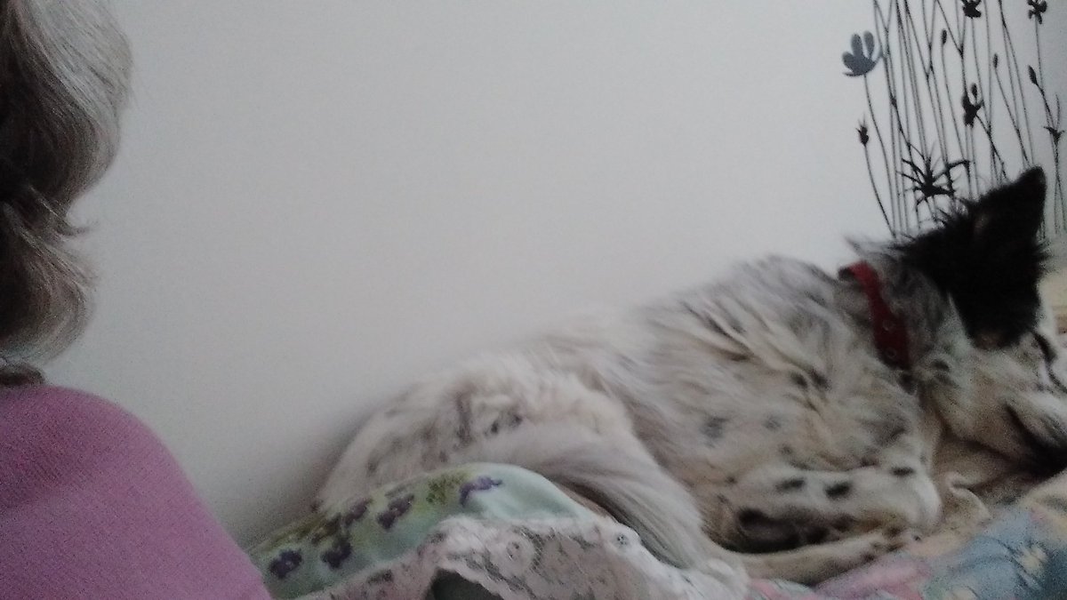 stellafaccio's tweet photo. @SoyVete 💖🥰 Nena con fiaca (yo también. Es de ayer) https://t.co/AFANNau7bt